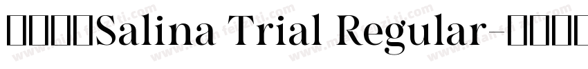 字体名称Salina Trial Regular字体转换